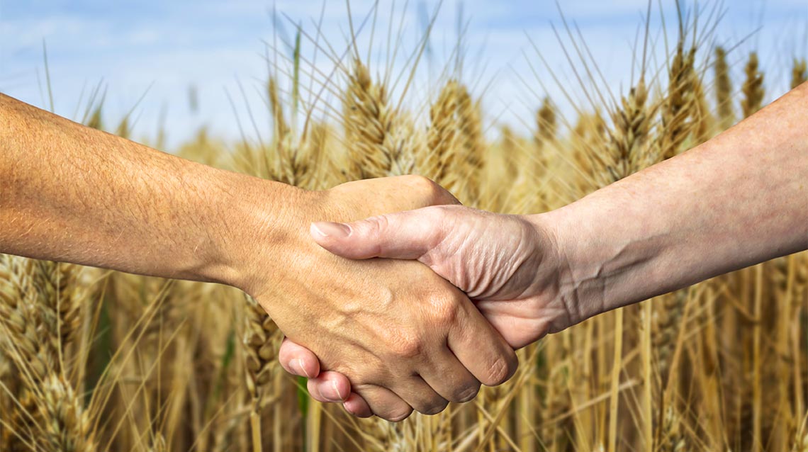 Une poignée de main dans un champ symbolise les valeurs de Néo envers ses partenaires